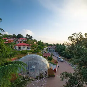 https://mint-tarika-resort.shimlahotels.net